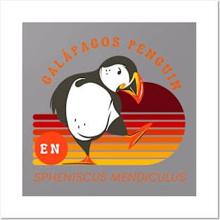 Galapagos pinguin Posters and Art